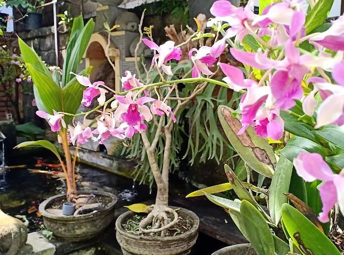 Degeg